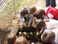 Le proposte per le scuole anno 2014-15