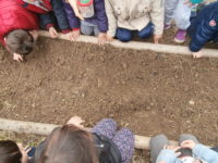 Orti scolastici in Rete a Torino