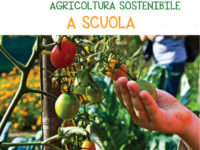 Percorsi per le scuole per l’anno scolastico 2018-2019