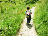 Le nostre proposte per le scuole – Anno 2016/2017