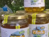 Mercati della Terra a Collegno