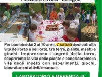 Tornano i Sabati ruspanti: edizione autunnale!