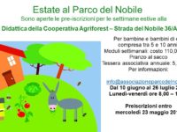 ESTATE IN FATTORIA